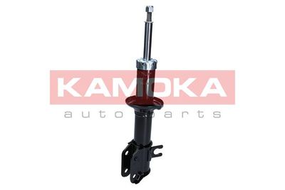 Shock Absorber 2001039