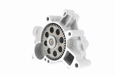 ÖLPUMPE VAICO V303822 9