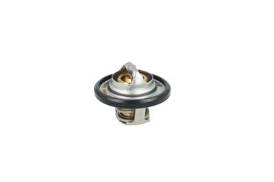 TERMOSTAT LICHID RACIRE NRF 725544 29