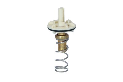 TERMOSTAT LICHID RACIRE NRF 725049 29