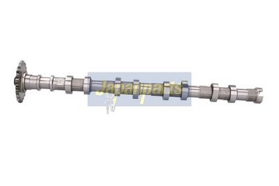 разпределителен вал JAPANPARTS AA-HY006