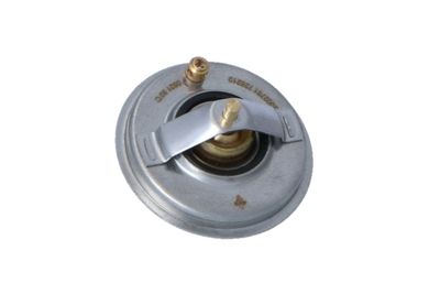 TERMOSTAT LICHID RACIRE NRF 725210 43