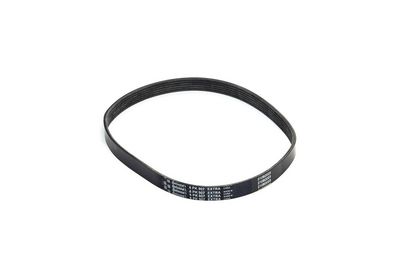 CONTINENTAL CTAM Keilrippenriemen