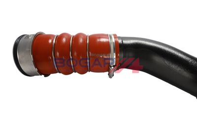 FURTUN EAR SUPRAALIMENTARE BOGAP B1711194 4