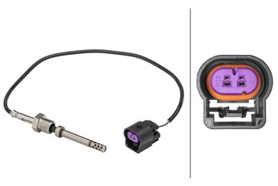 Jutiklis, išmetamųjų dujų temperatūra