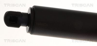 Gasfjeder, kuffert-/lastrum TRISCAN 8710 11143