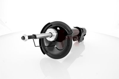 AMORTIZOR GH GH359365 12