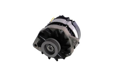 GENERATOR / ALTERNATOR REMANTE 011003000082R 60