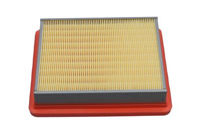 Kavo Parts Oro filtras