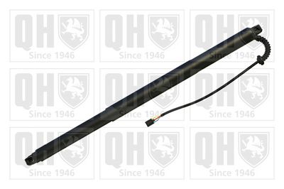 MOTOR ELECTRIC HAION