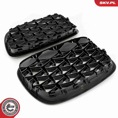 GRILA RADIATOR ESEN SKV 66SKV292 3