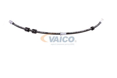 FURTUN FRANA VAICO V220620 26