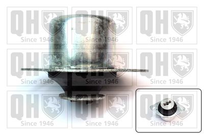QUINTON-HAZELL EM1829 Подушка коробки передач (АКПП) для VW (Фольксваген_)