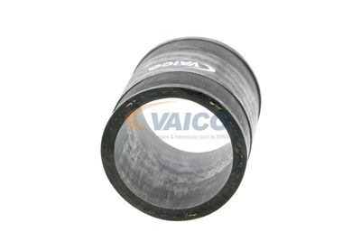 FURTUN EAR SUPRAALIMENTARE VAICO V401362 48