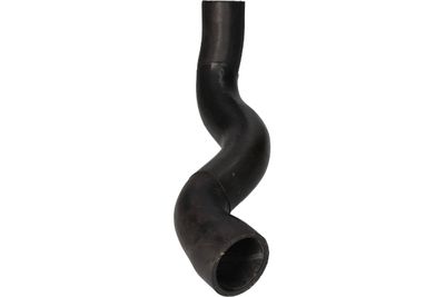 FURTUN EAR SUPRAALIMENTARE BIRTH 55647 10