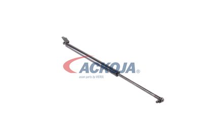 AMORTIZOR PORTBAGAJ ACKOJA A370097 20