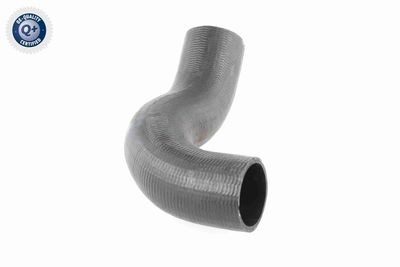 FURTUN EAR SUPRAALIMENTARE ACKOJA A380298 7