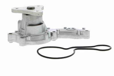 POMPă DE APă RăCIRE MOTOR