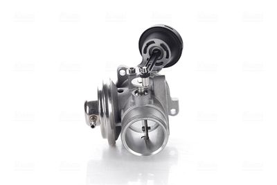 EGR Valve 98225