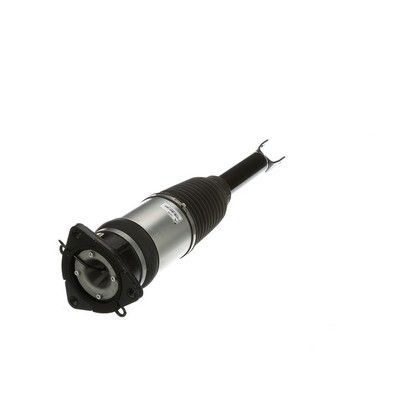 LUFTFEDERBEIN Arnott AS2968 48