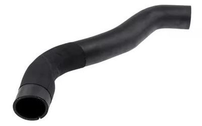 FURTUN EAR SUPRAALIMENTARE