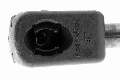 GASFEDER MOTORHAUBE VAICO V102087 2