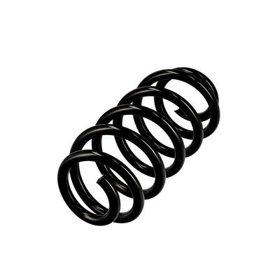 ARC SPIRAL EIBACH R10137 15
