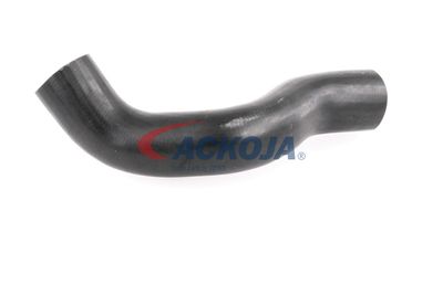 FURTUN EAR SUPRAALIMENTARE ACKOJA A380307 33