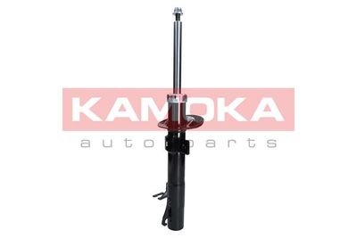 Shock Absorber 2000259