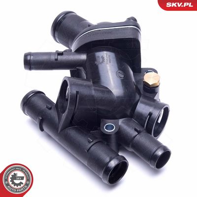 Termostatas, aušinimo skystis