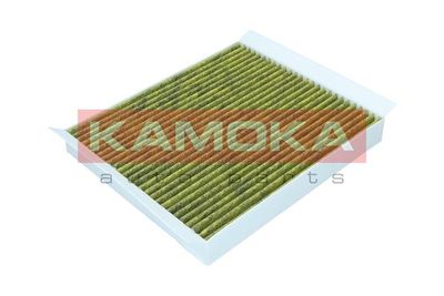 Filter, cabin air 6080027