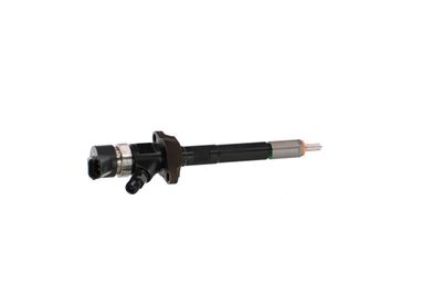 INJECTOR REMANTE 002003000030R 34