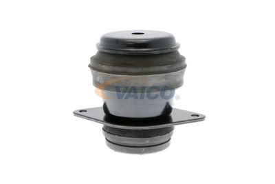 SUPORT TRANSMISIE AUTOMATA VAICO V101178 36