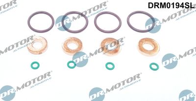 Dichtungssatz, Einspritzdüse Dr.Motor Automotive DRM0194SL