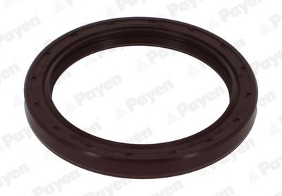 WELLENDICHTRING NOCKENWELLE