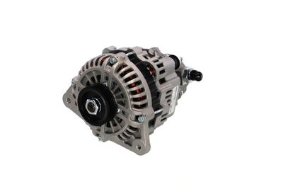 GENERATOR / ALTERNATOR REMANTE 011003000175R 59