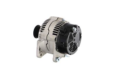 GENERATOR / ALTERNATOR REMANTE 011003000195R 19