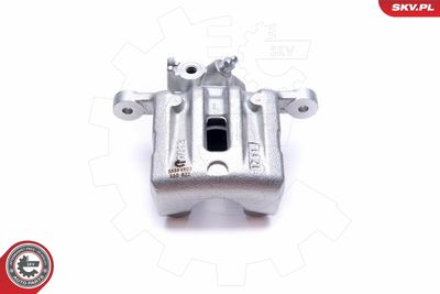 Brake Caliper 55SKV803