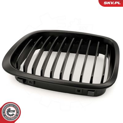 GRILA RADIATOR ESEN SKV 66SKV062 8