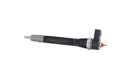 INJECTOR REMANTE 002003001084R 16