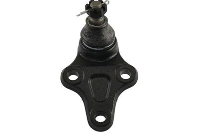 Kavo Parts Šarnyras / girgždukas