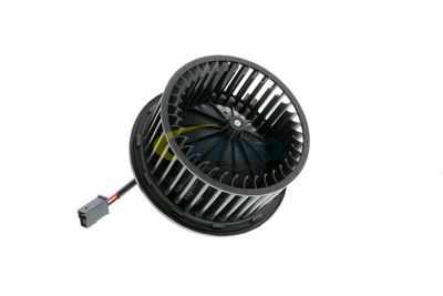 ANSAUGGEBLäSE INNENRAUMLUFT VEMO V15031880 14