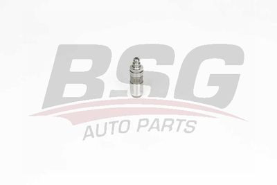 BSG BSG 65-122-014 Гидрокомпенсаторы  для FIAT QUBO (Фиат Qубо)