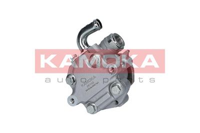 Hydraulic Pump, steering PP193