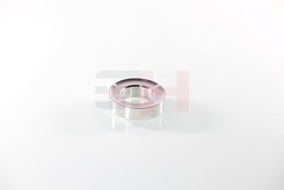 RULMENT SARCINA SUPORT ARC GH GH364722 46