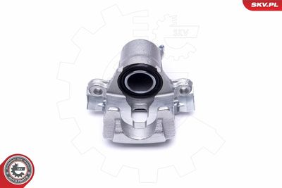 Brake Caliper 46SKV723