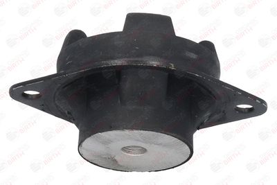 SUPORT MOTOR BIRTH 5630 7