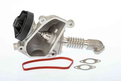 AGR-VENTIL BTS Turbo A100081