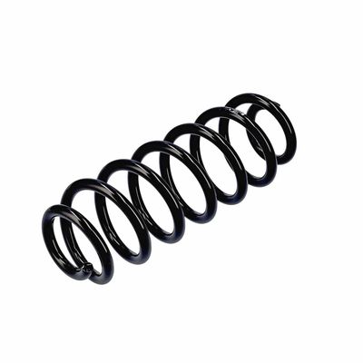 ARC SPIRAL EIBACH R13605 16