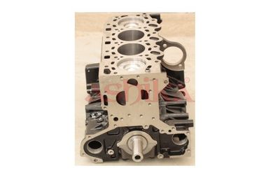 MOTOR EXCLUZAND ACCESORIILE ASHIKA KK020 2